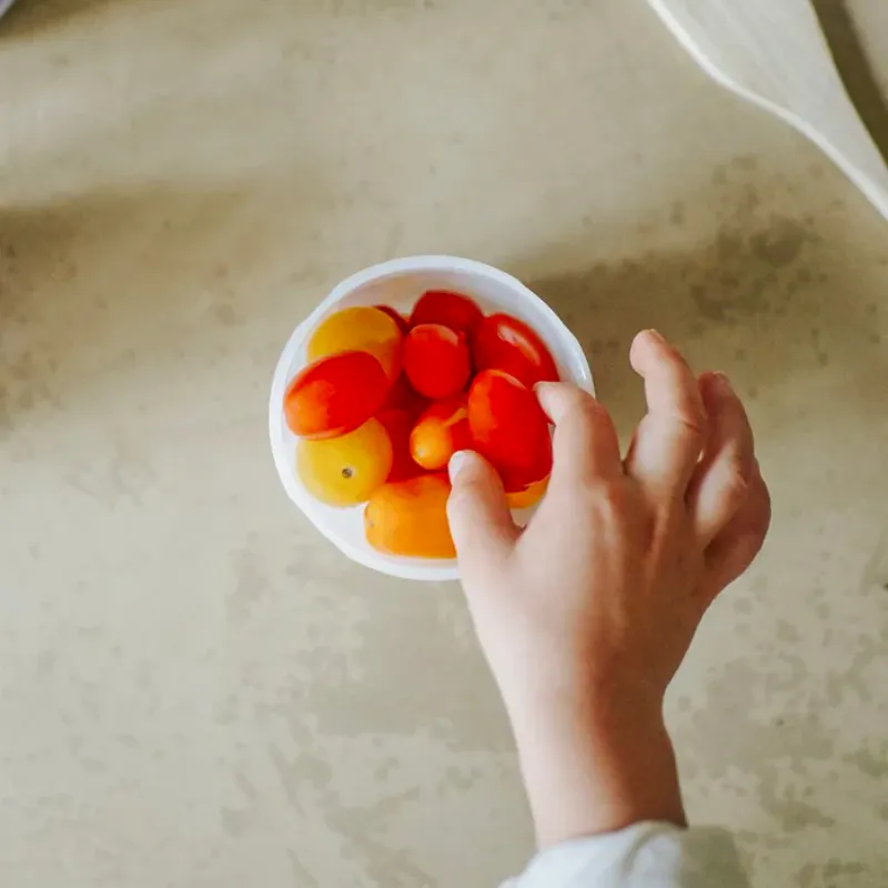 Biosourced Babybowls