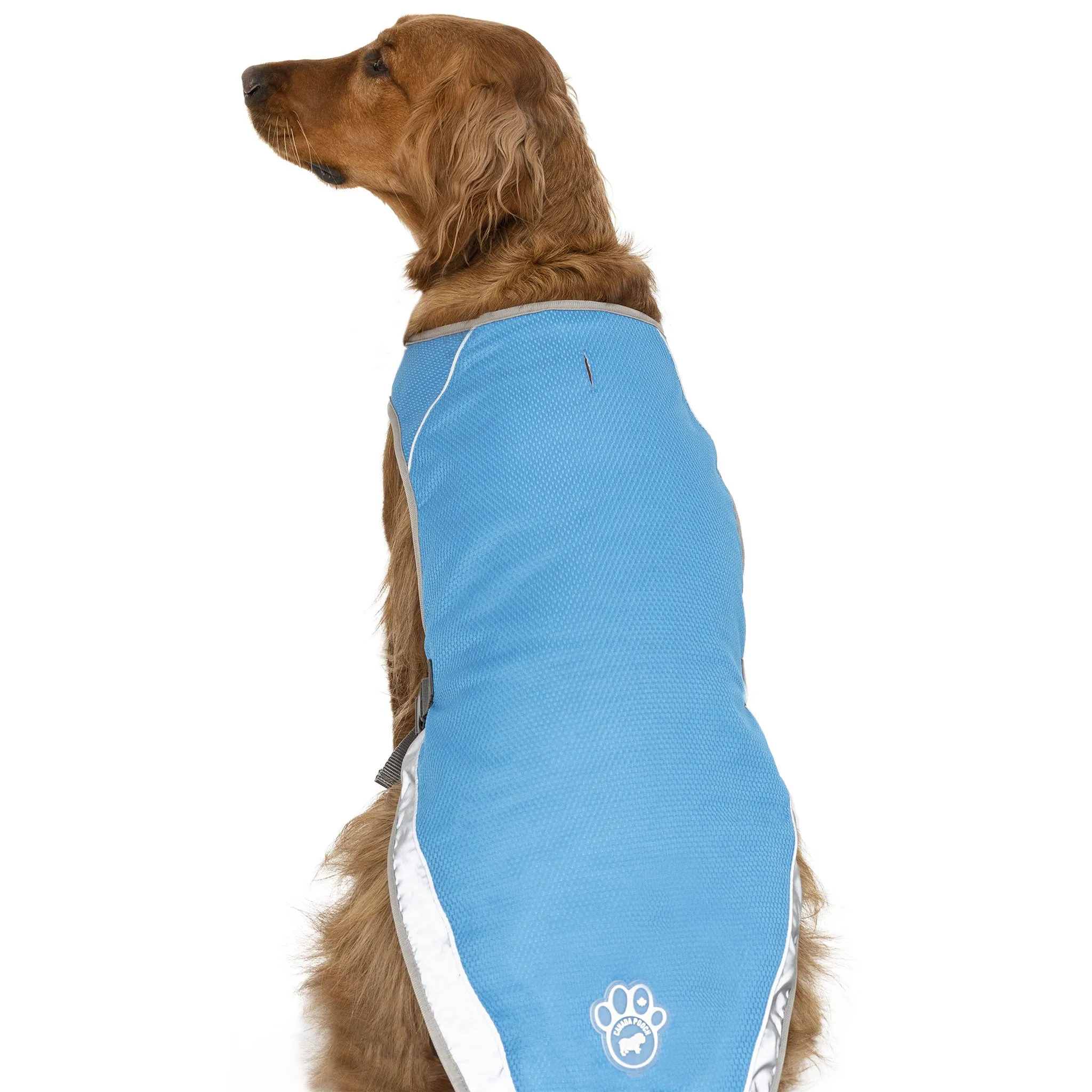 Canada Pooch Chill Seeker Aqua Cooling Dog Vest