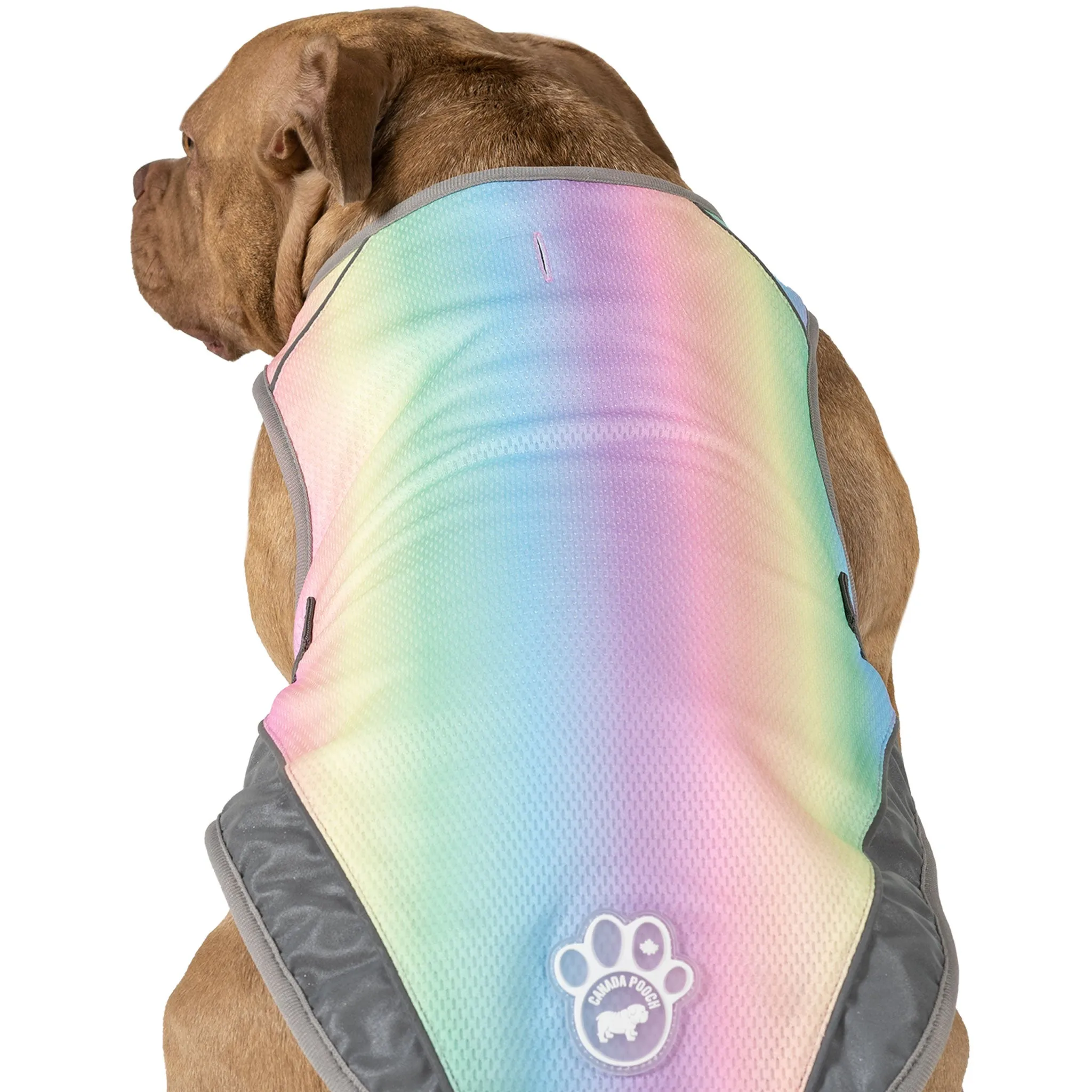 Canada Pooch Chill Seeker Rainbow Cooling Dog Vest