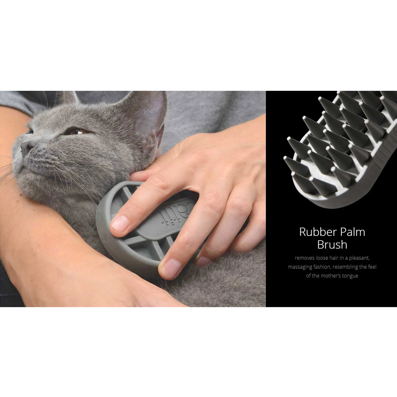 Catit 2.0 Shorthair Grooming Kit