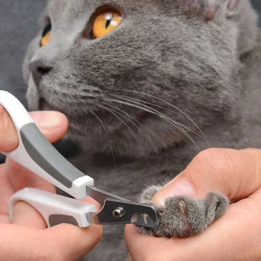 Catit Shorthair Grooming Kit