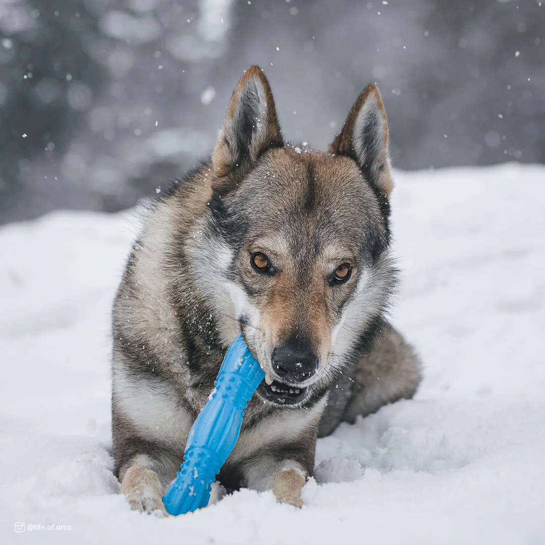 Coastal Pet Products ProFit Foam Toy Stick