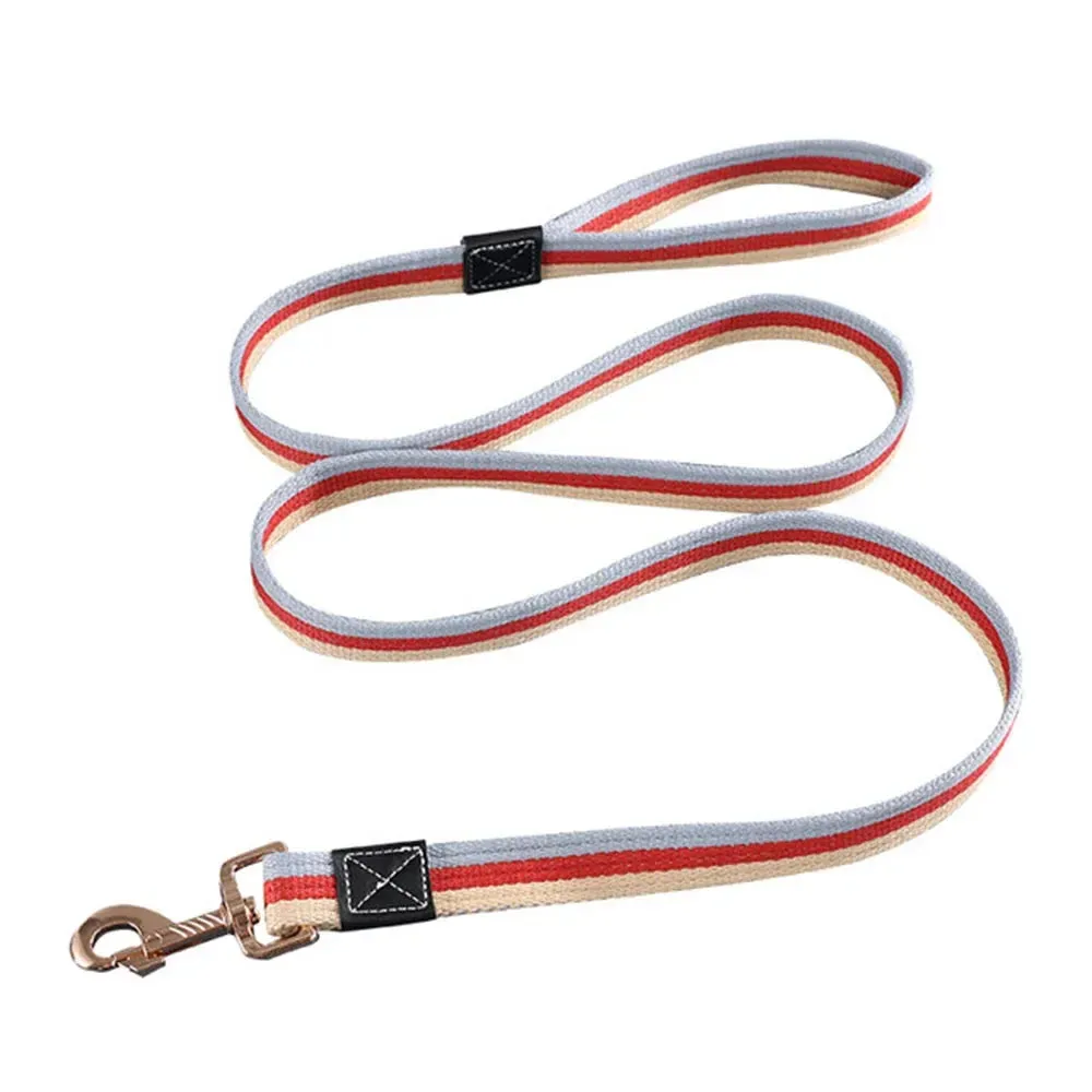 Durable Nylon Dog Leash for Training and Walking