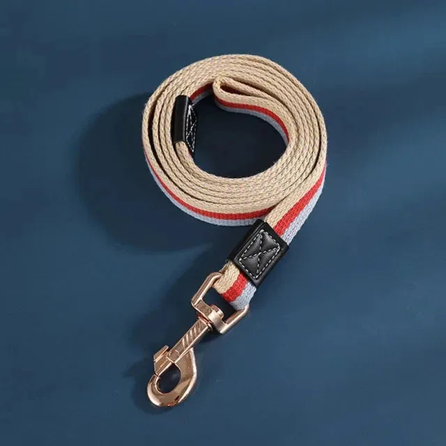 Durable Nylon Dog Leash for Training and Walking