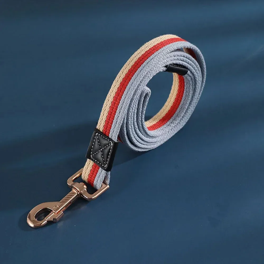 Durable Nylon Dog Leash for Training and Walking