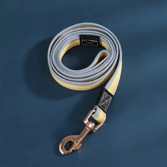 Durable Nylon Dog Leash for Training and Walking