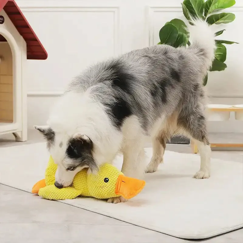 Durable Plush Chew Toy with Sounds for dogs Quack-Quack Duck Dog Toy