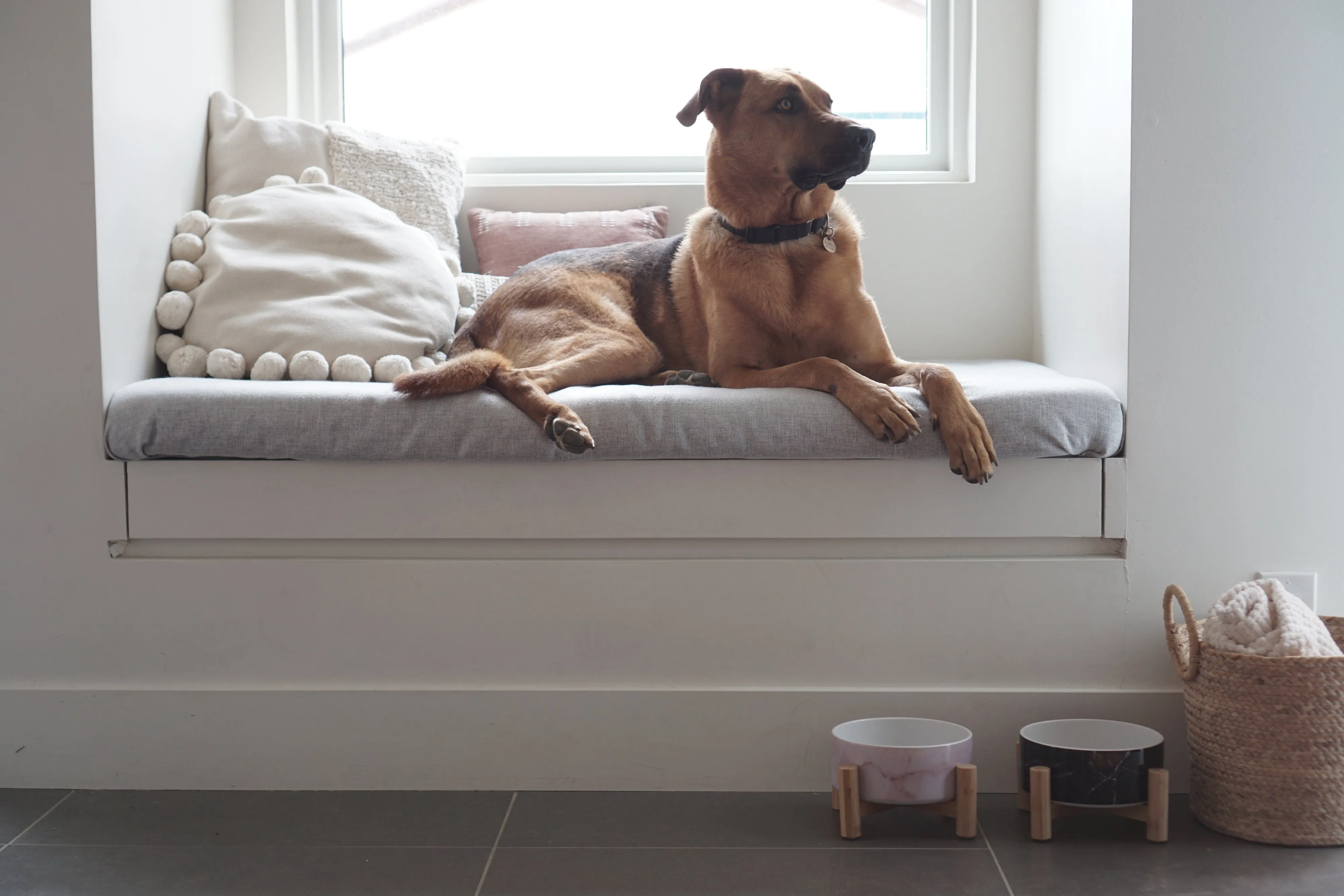 Elevated Bamboo Dog Bowl Stand