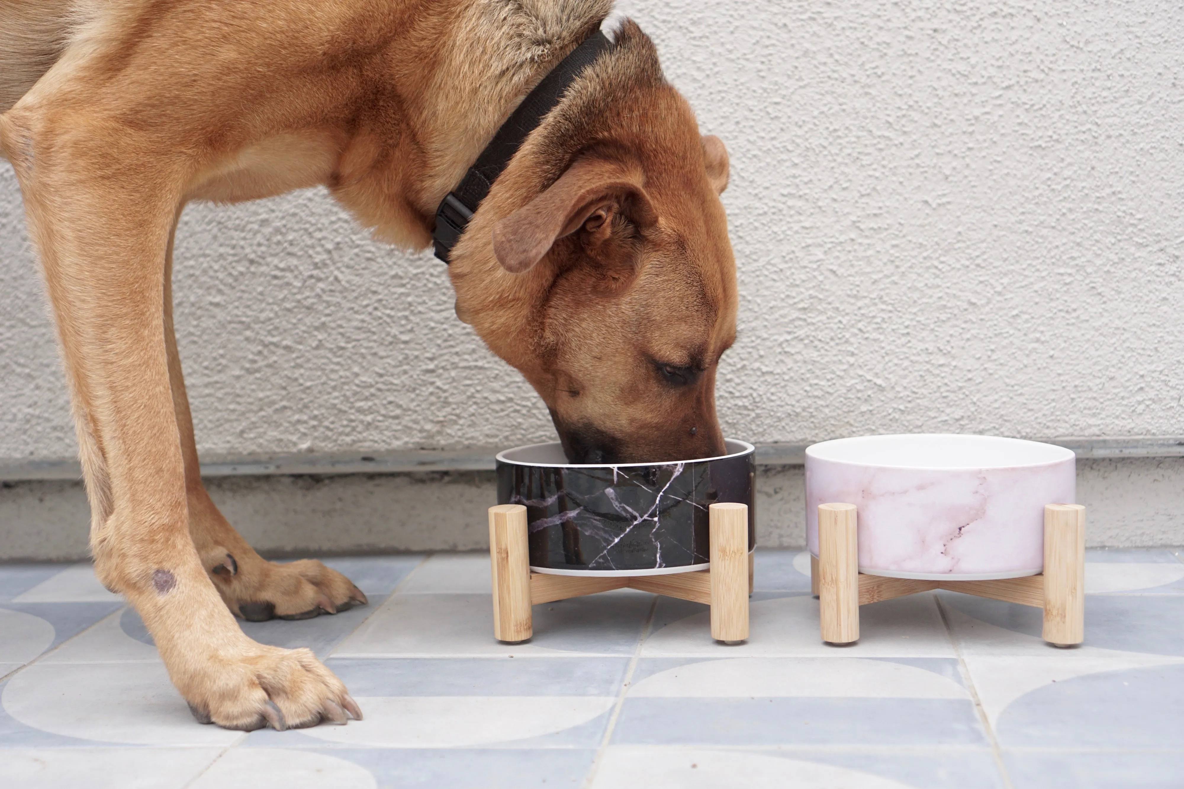 Elevated Bamboo Dog Bowl Stand