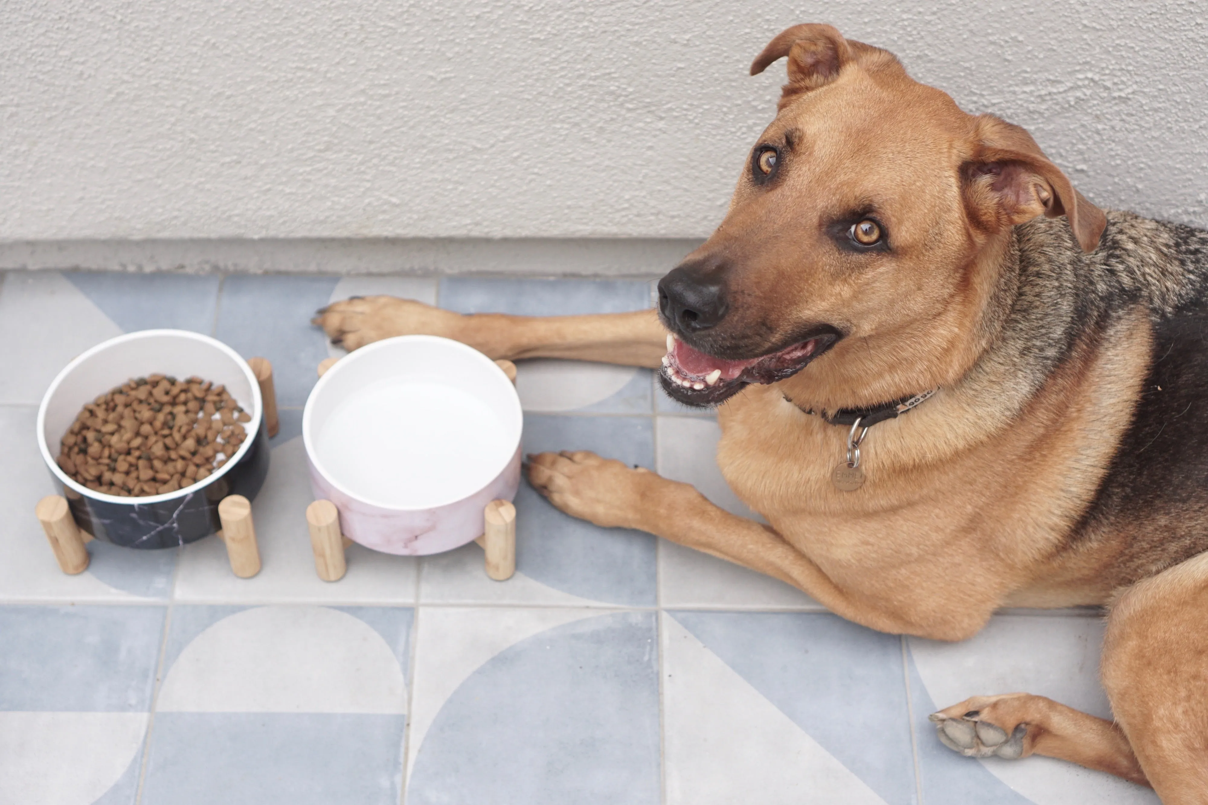 Elevated Bamboo Dog Bowl Stand