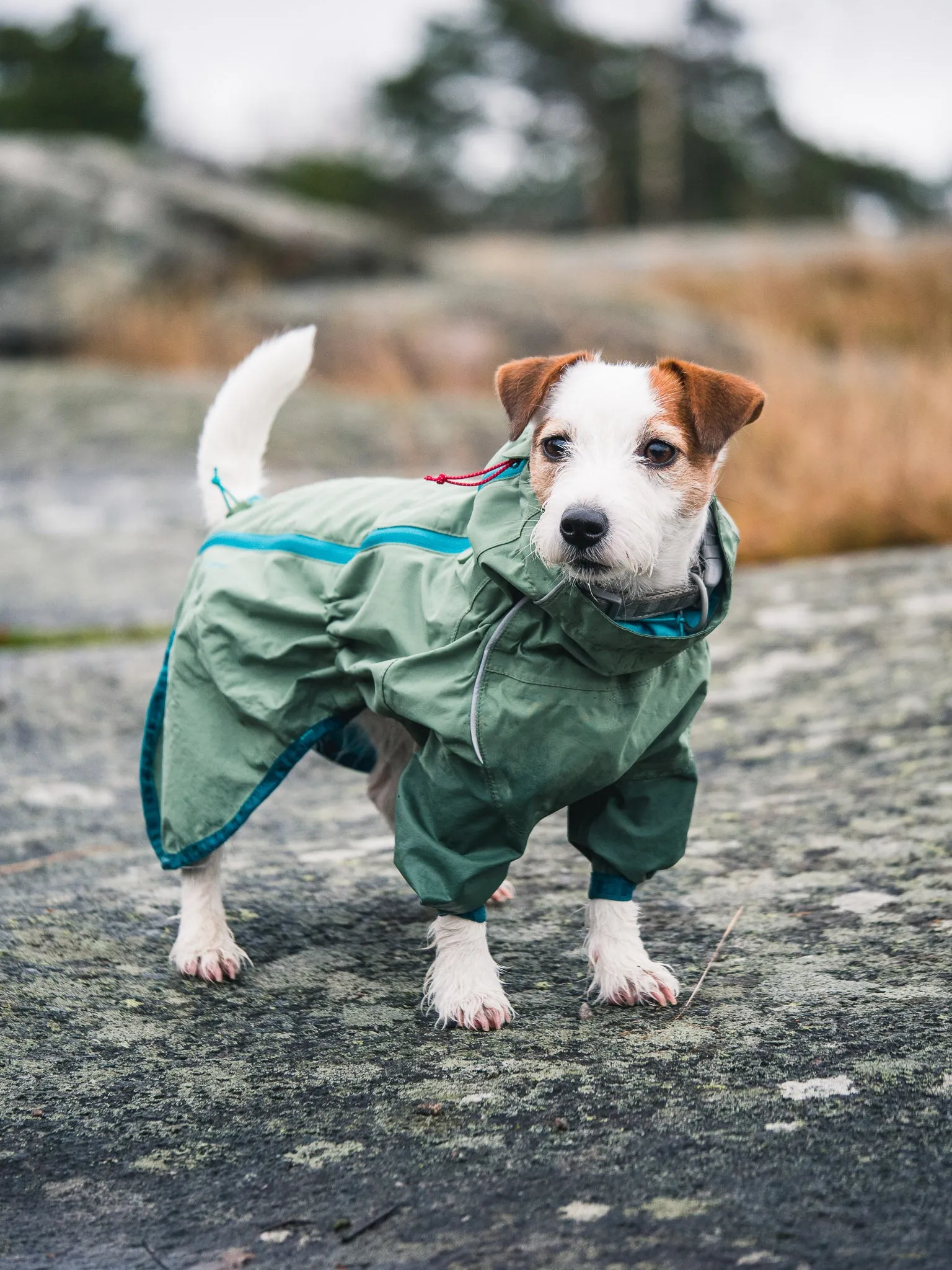 Hurtta Dog Raincoat: Rain Blocker Eco