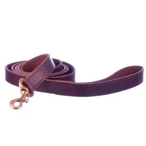 Jeffers Flat Leather Dog Leashes, 1" x 6'