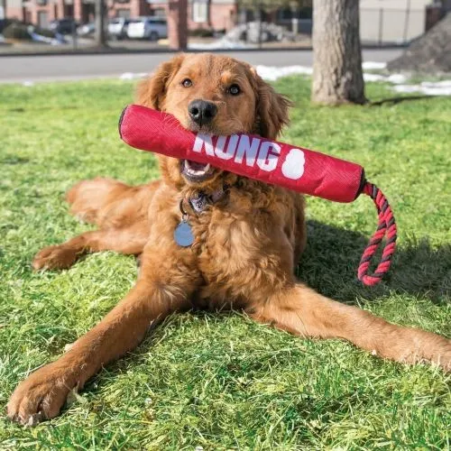 KONG Signature Stick w/Rope Medium Dog Toy