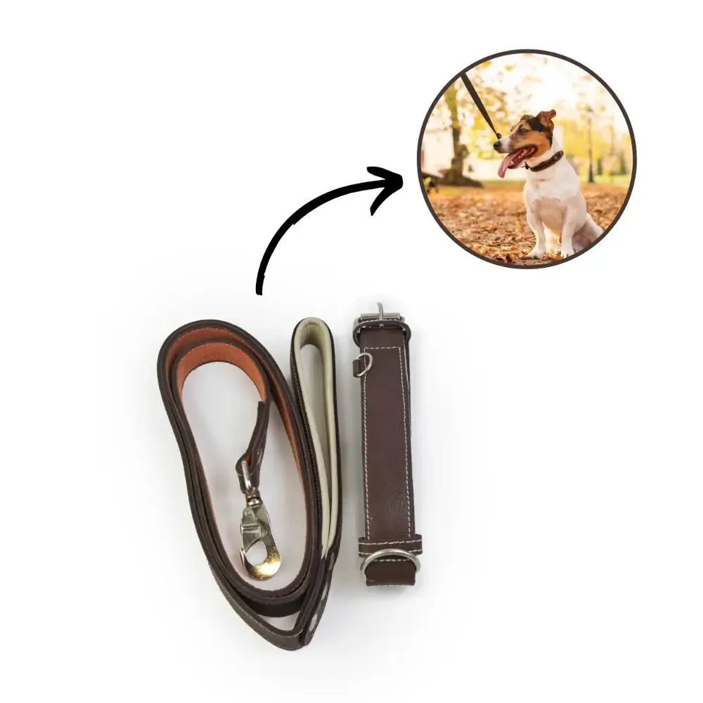 Leather Dog Collar With Leash