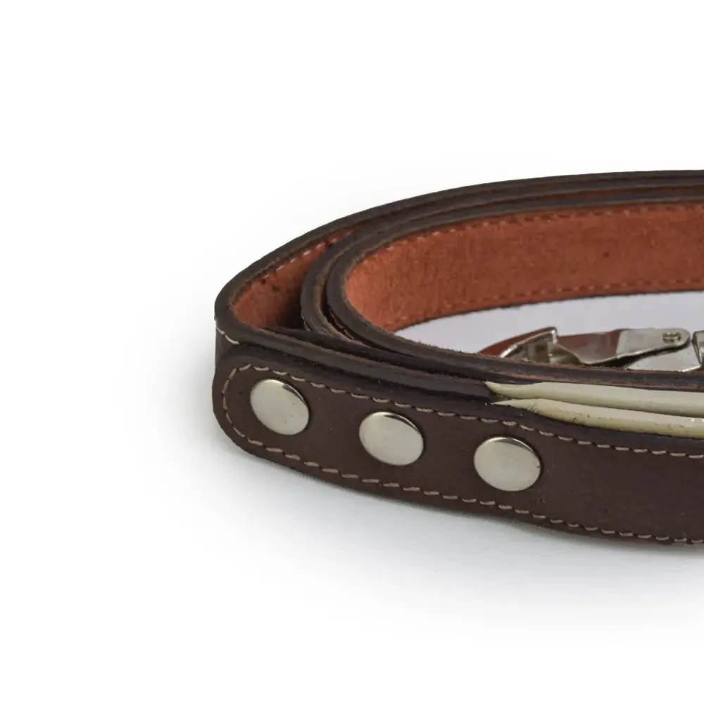 Leather Dog Collar With Leash