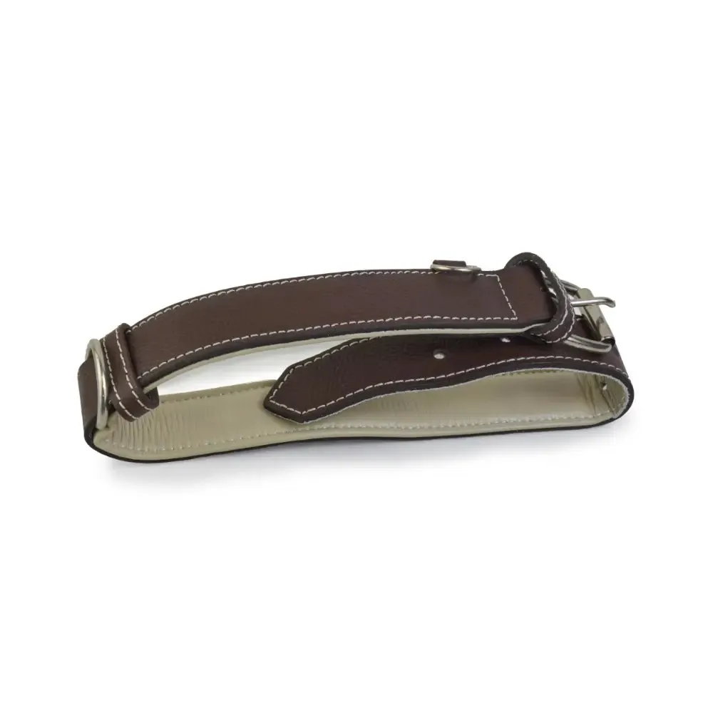 Leather Dog Collar With Leash