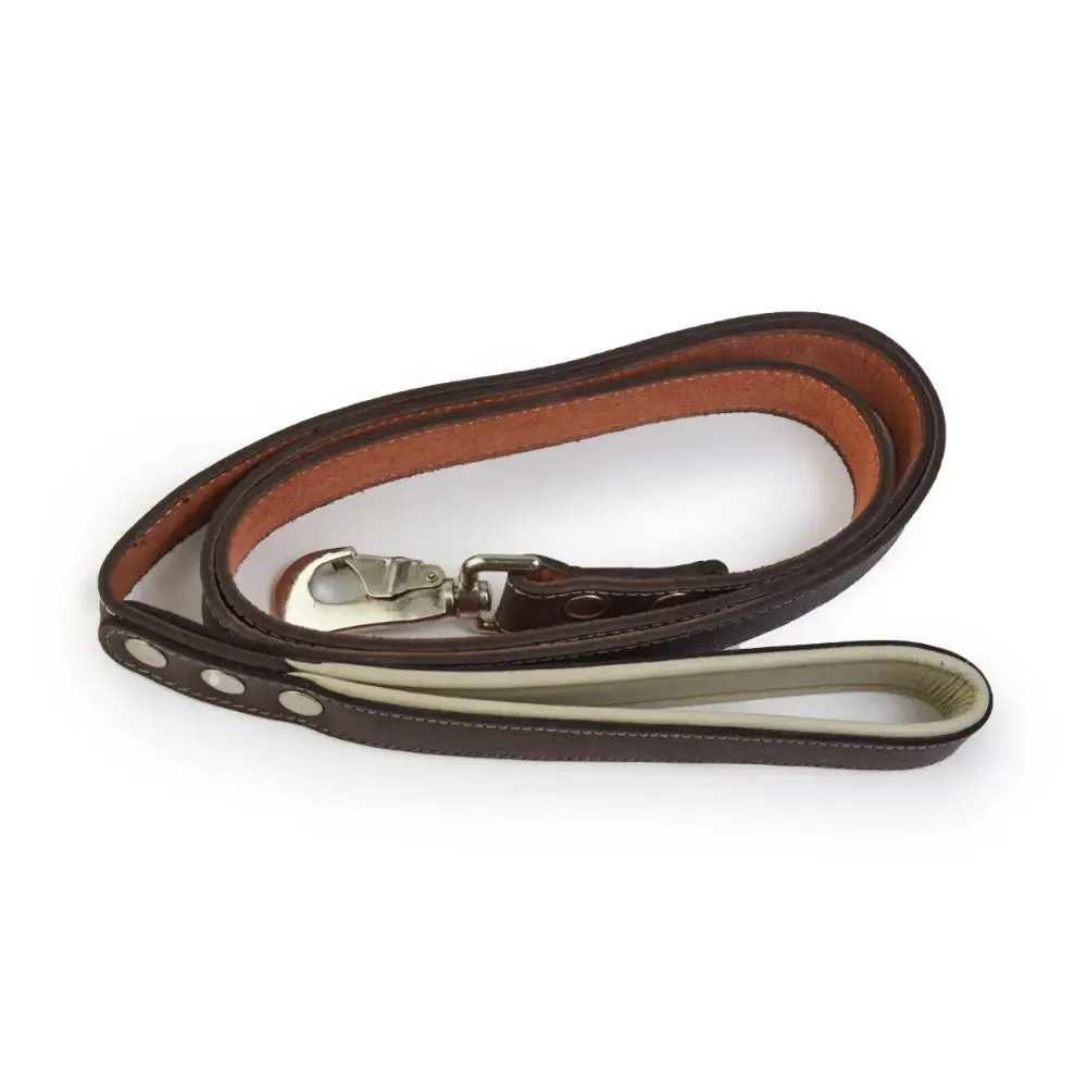 Leather Dog Collar With Leash