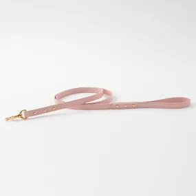 mini dot pink leash