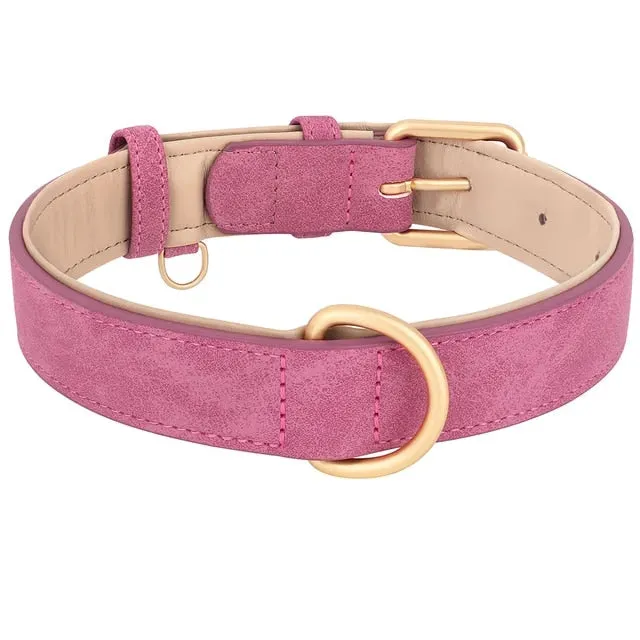 PetAffairs Durable Leather Dog Collar with Soft Padding