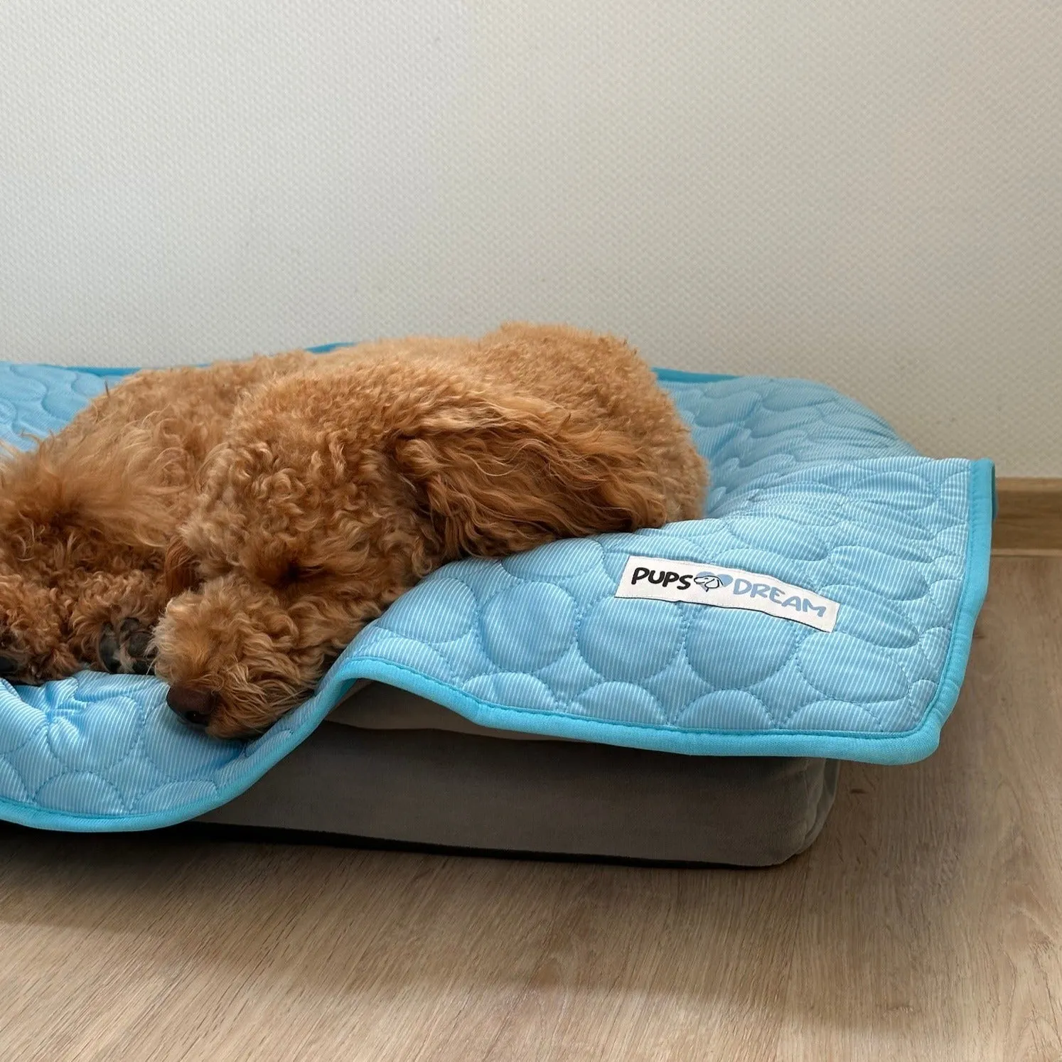 PetCool™ V.3 - Pet Cooling Mat