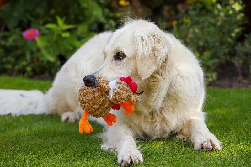 Petface Buddies Chunky Chicken Dog Toy