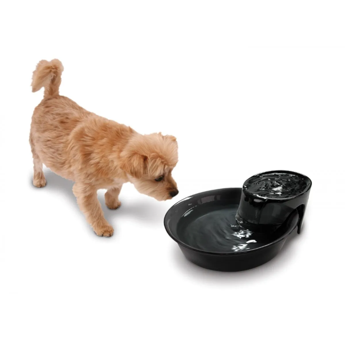 Pioneer Pet - Durable Ceramic - Big Max