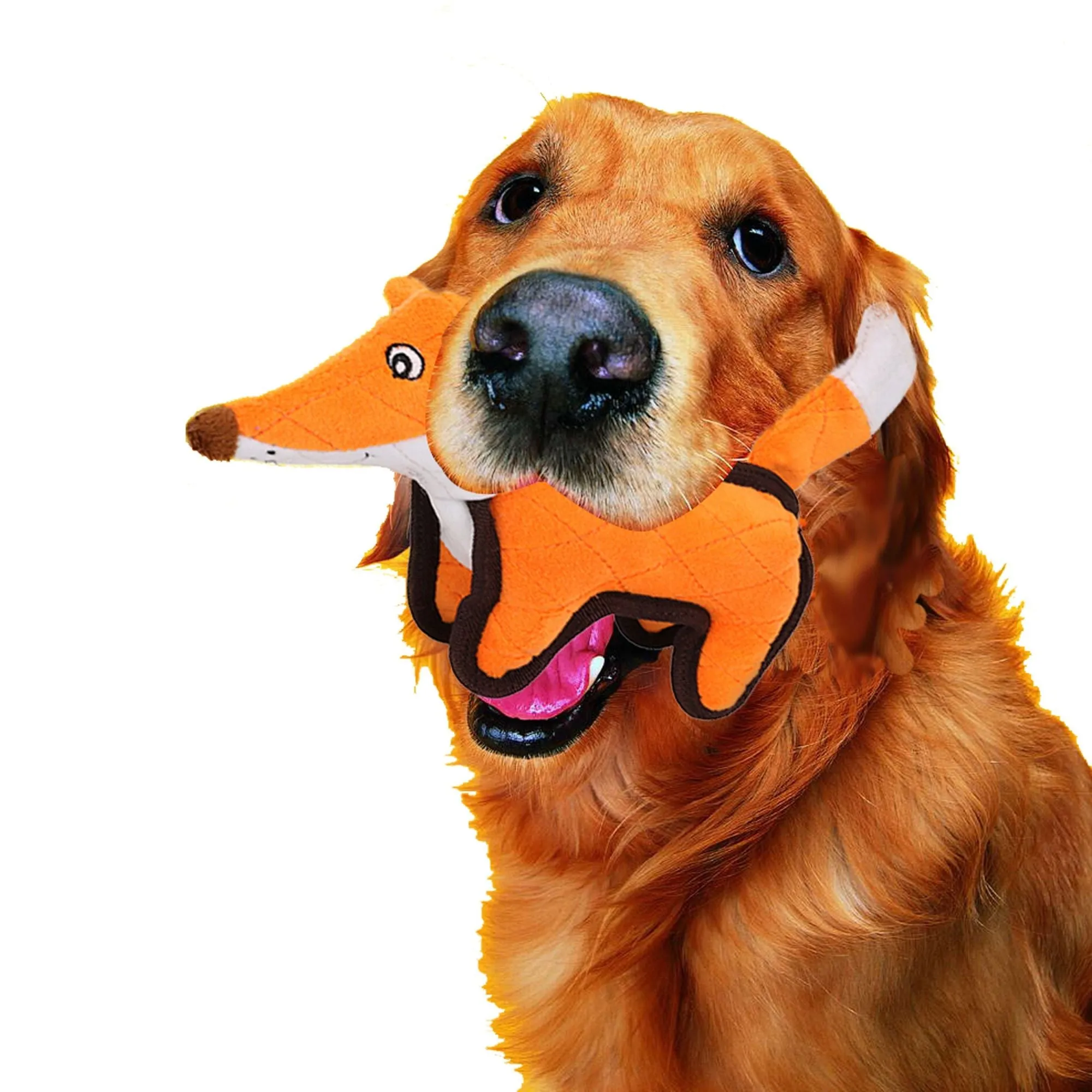 Soft and Durable Squeaker Dog Toy Playtime