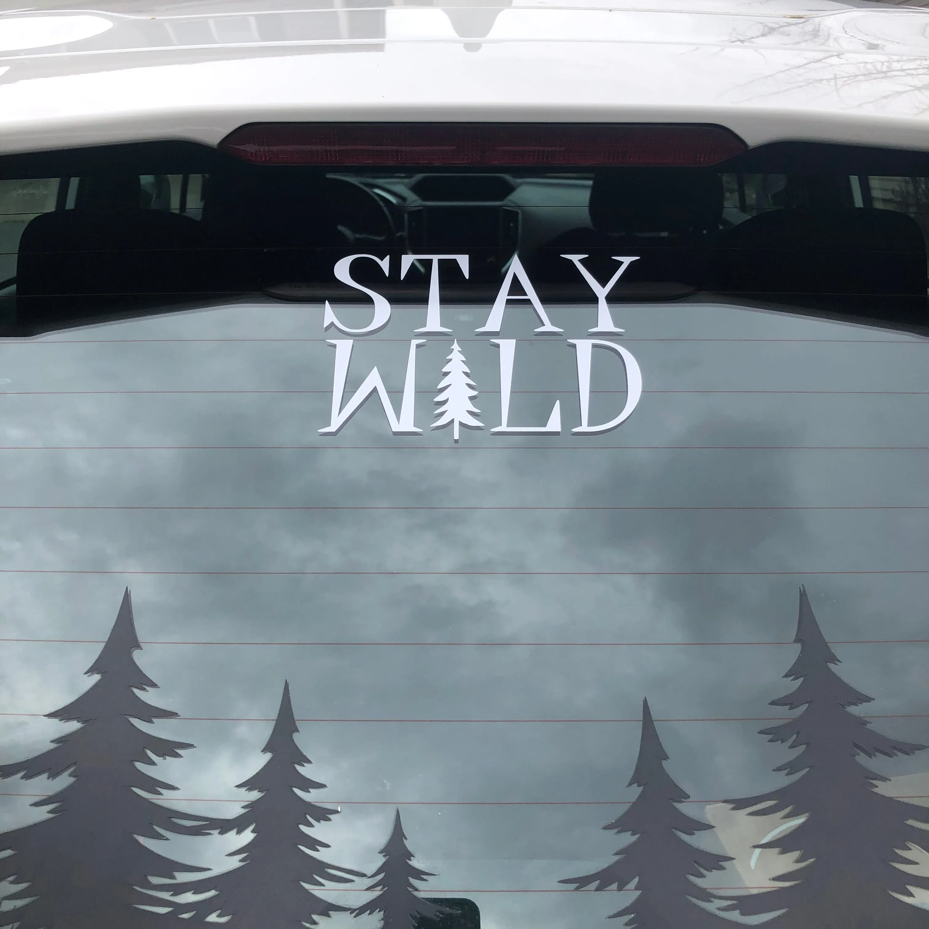 Stay Wild Pine Tree