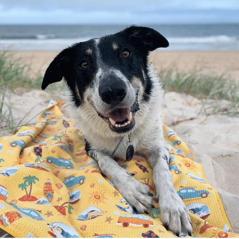 Surf's Up - Adventure Dog Towel