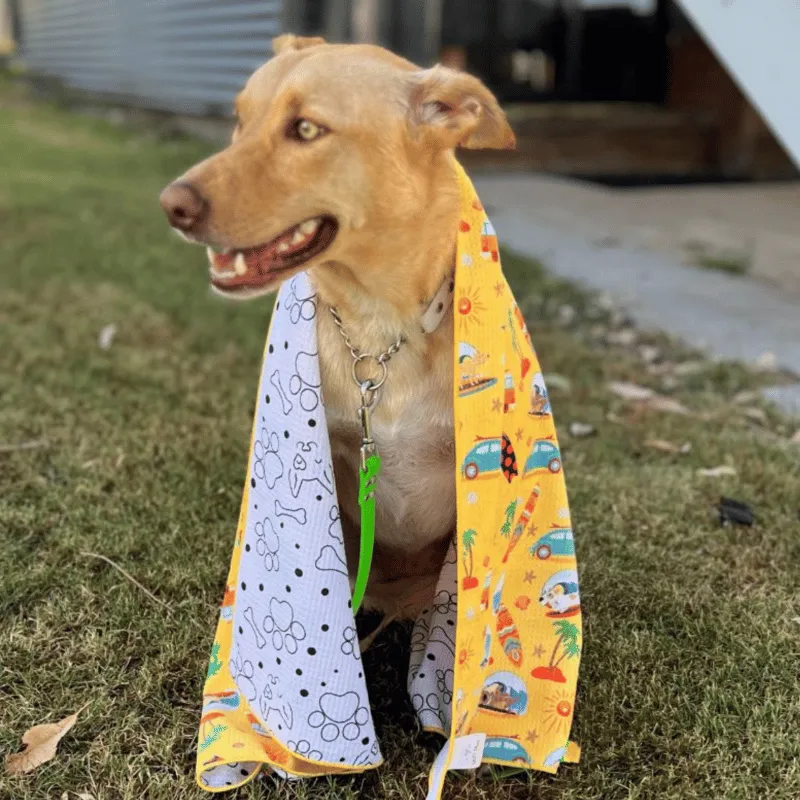 Surf's Up - Adventure Dog Towel