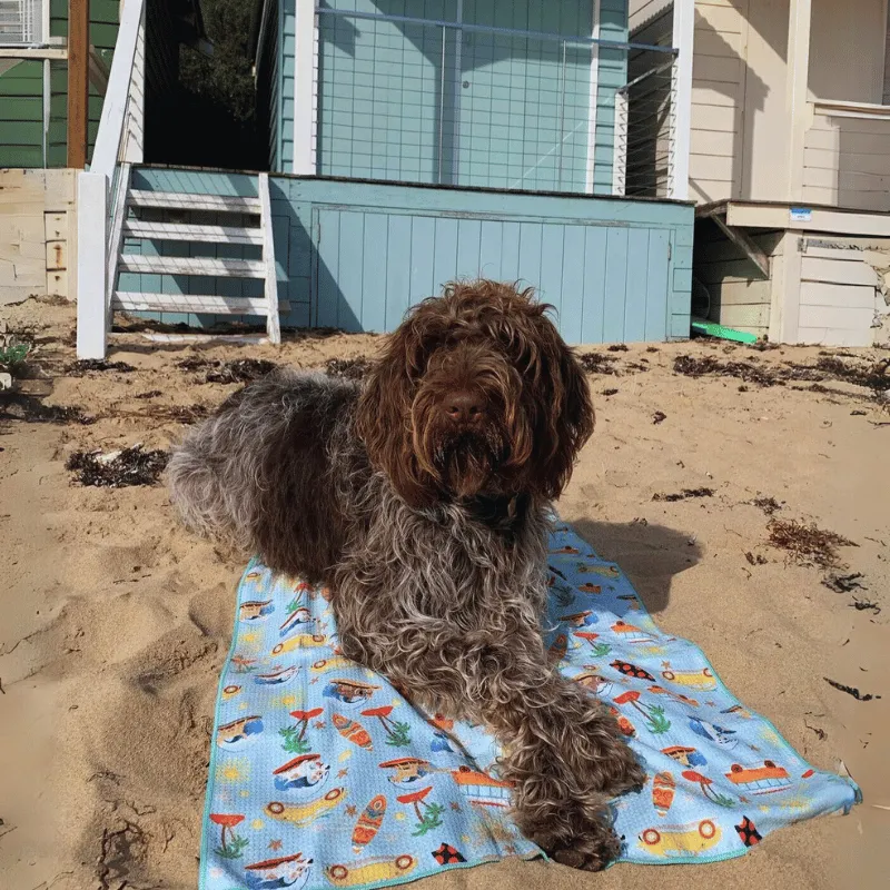 Surf's Up - Adventure Dog Towel