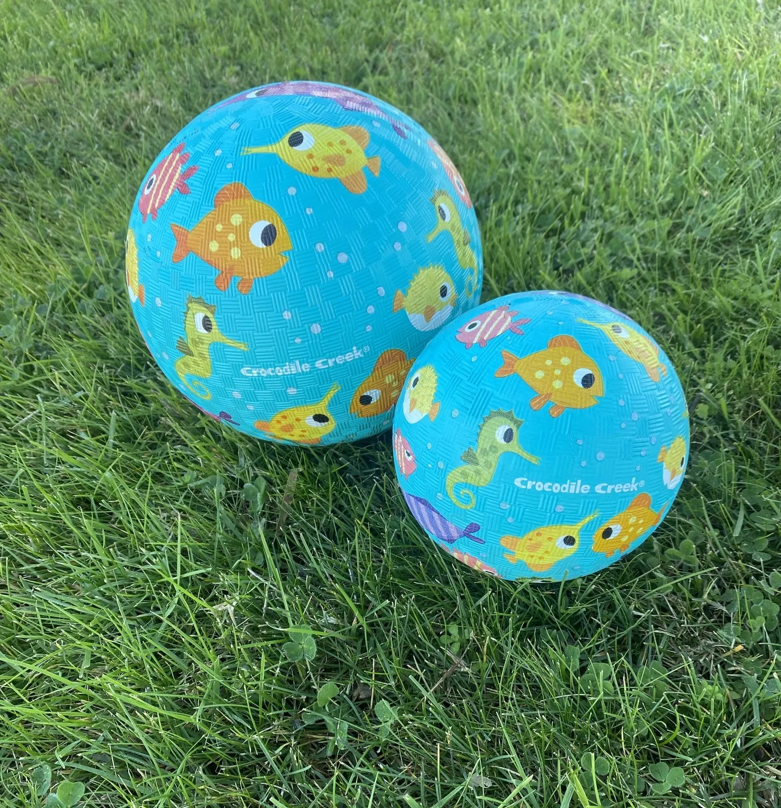 TIGER TRIBE - PLAYGROUND BALL 5 INCH: FISH