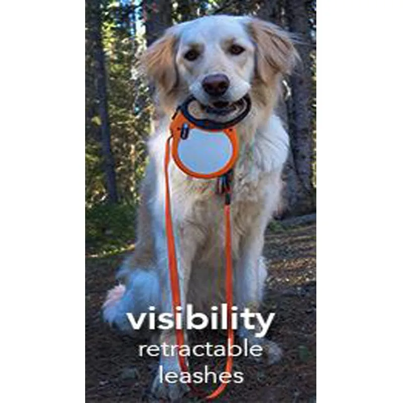 Visibility Retractable Reflective Belt Leash, 16' Long