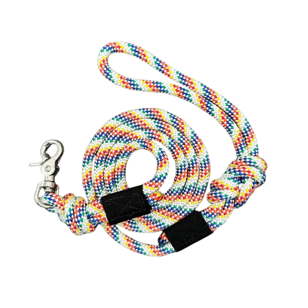 Wilderdog Quick Clip Leash Rainbow 5'