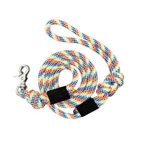 Wilderdog Quick Clip Leash Rainbow 5'